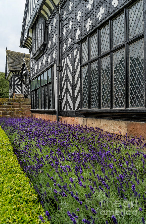 Architecture Photograph - Moat of Lavender by Adrian Evans