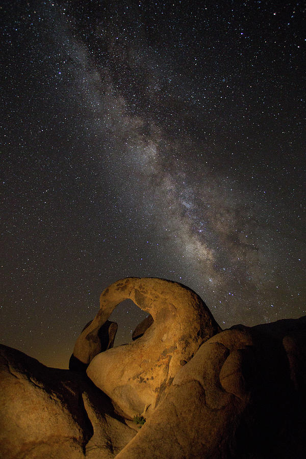 Mobius And Milky Way Photograph by Jan Maguire Photography