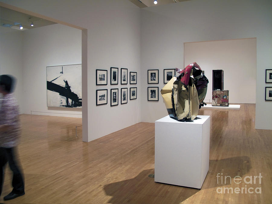 MOCA Art Museum Gallery Exhibit Photograph by David Zanzinger