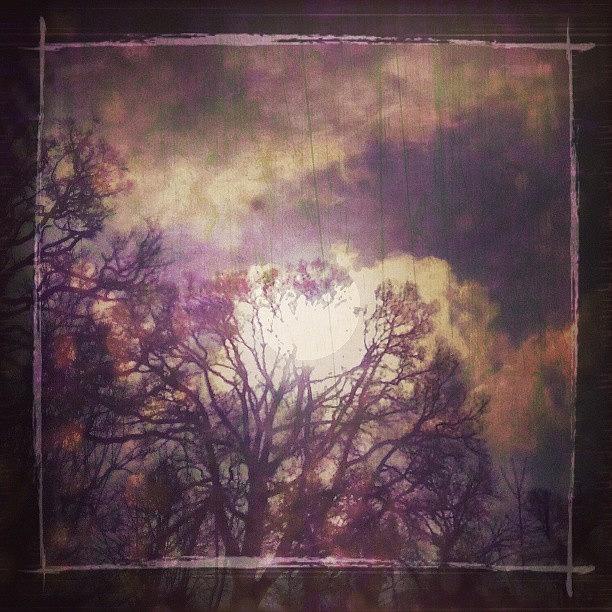 Tree Photograph - Mock #moonlight... #edit #trees #tree by Linandara Linandara