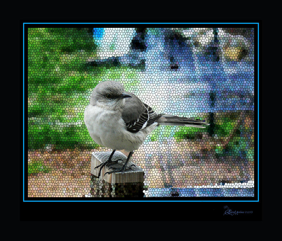 Mockingbird Photograph - Mocking Bird by Ericamaxine Price