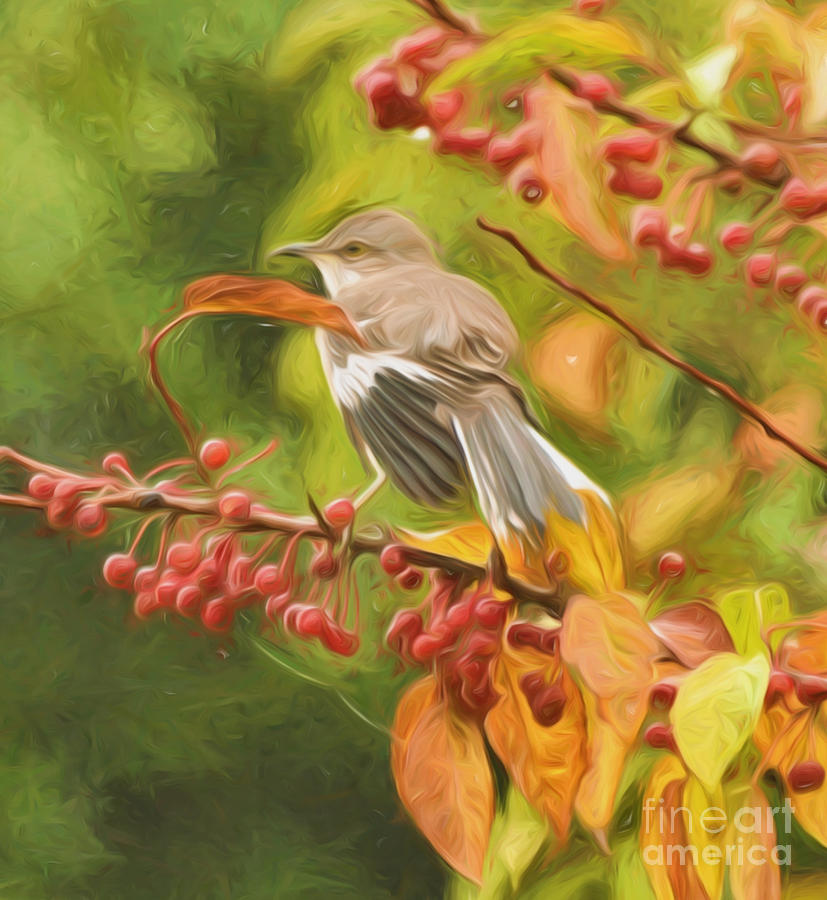 Mockingbird and Berries Photograph by Kerri Farley