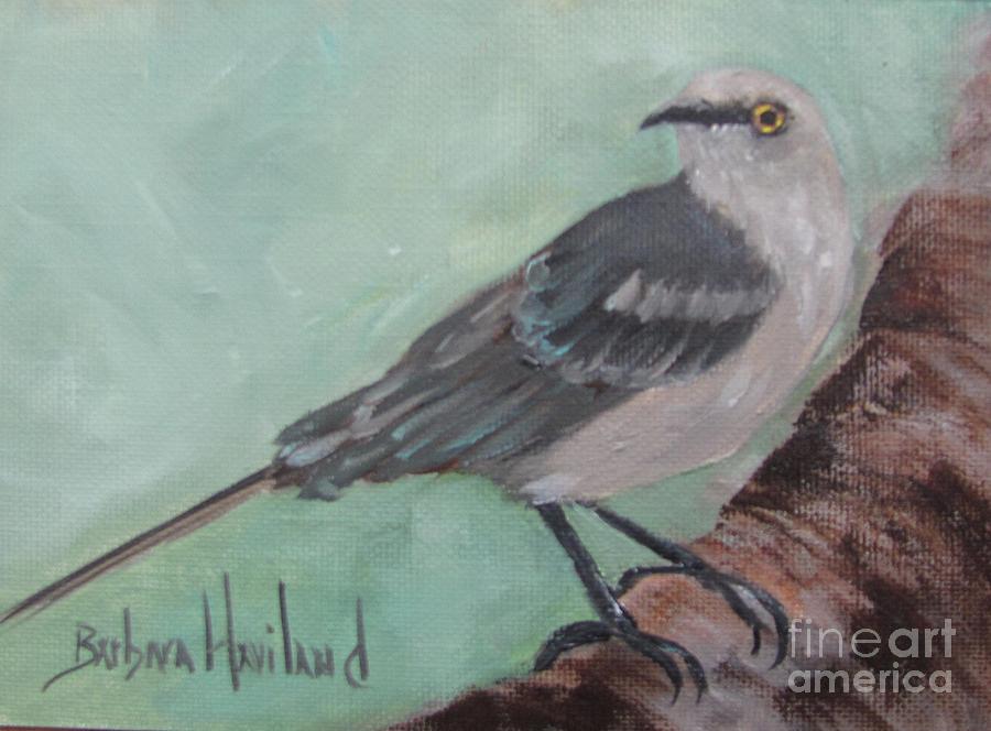 Mockingbird Painting by Barbara Haviland