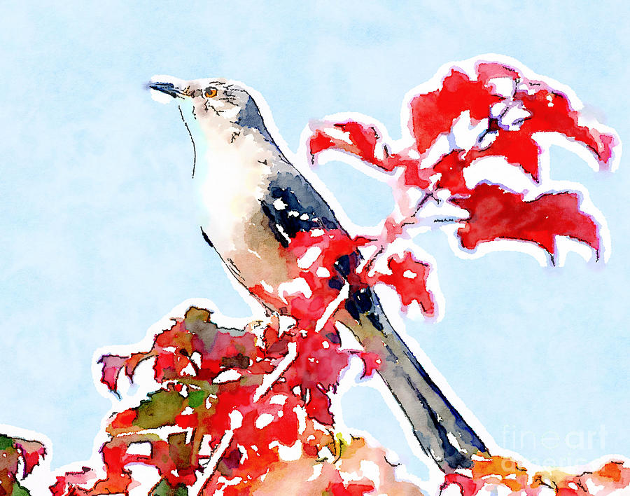 Mockingbird In the Leaves - Watercolor Photograph by Kerri Farley
