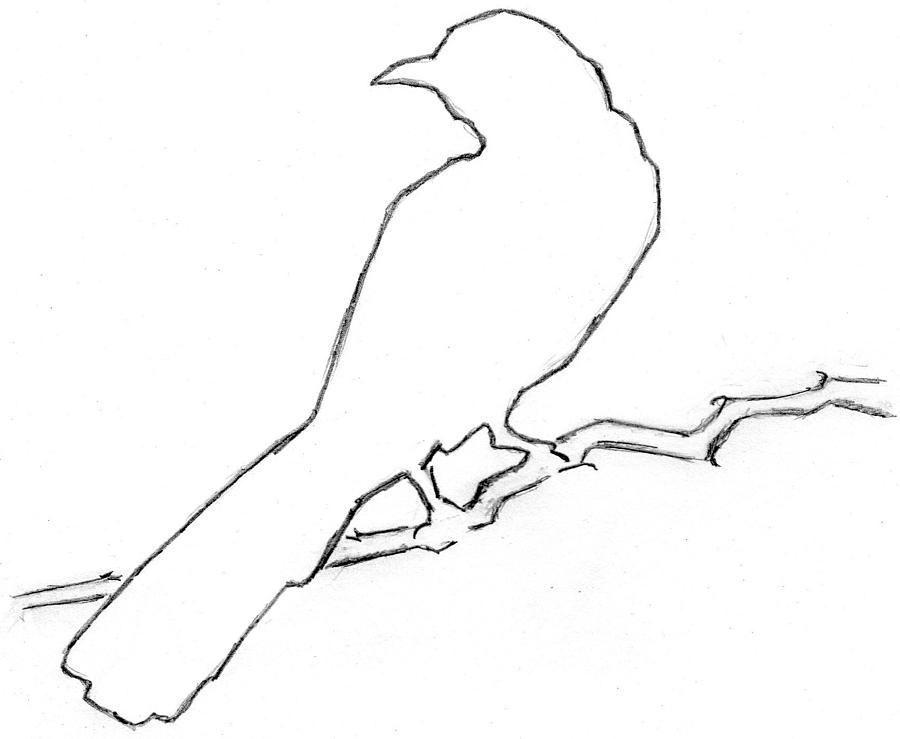 Mockingbird Drawing - Mockingbird by Pam Ferrara