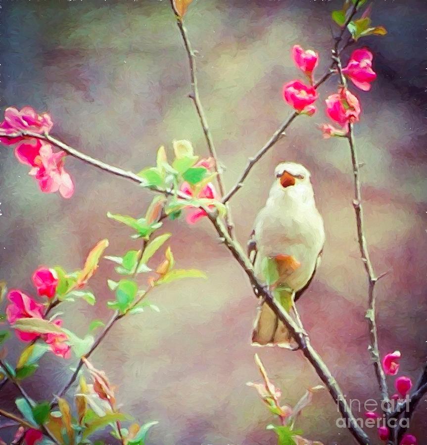 Mockingbird Photograph - Mockingbird Sings For Spring by Kerri Farley