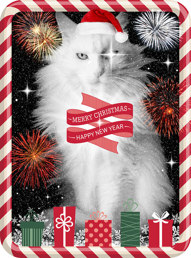 Christmas Photograph - Mod Cards - Im A Star Baby Im A Christmas Star V - Merry Christmas And Happy New Year by Aurelio Zucco