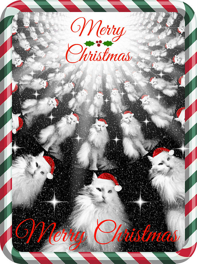 Christmas Photograph - Mod Cards - Santas Helpers II - Merry Christmas by Aurelio Zucco