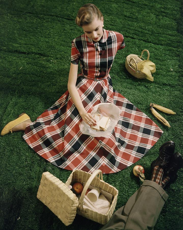 Model In Gingham Dress Sitting On A Staged Lawn Photograph by Frances McLaughlin-Gill