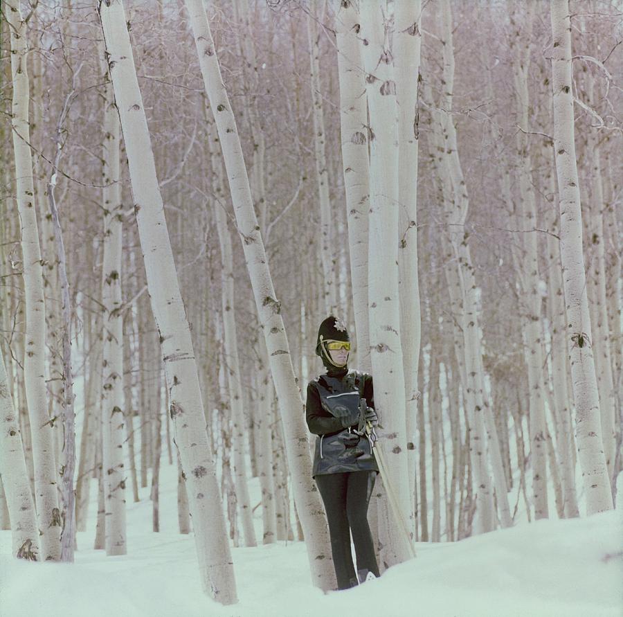 Model In Snow Among Birch Trees Photograph by Henry Clarke