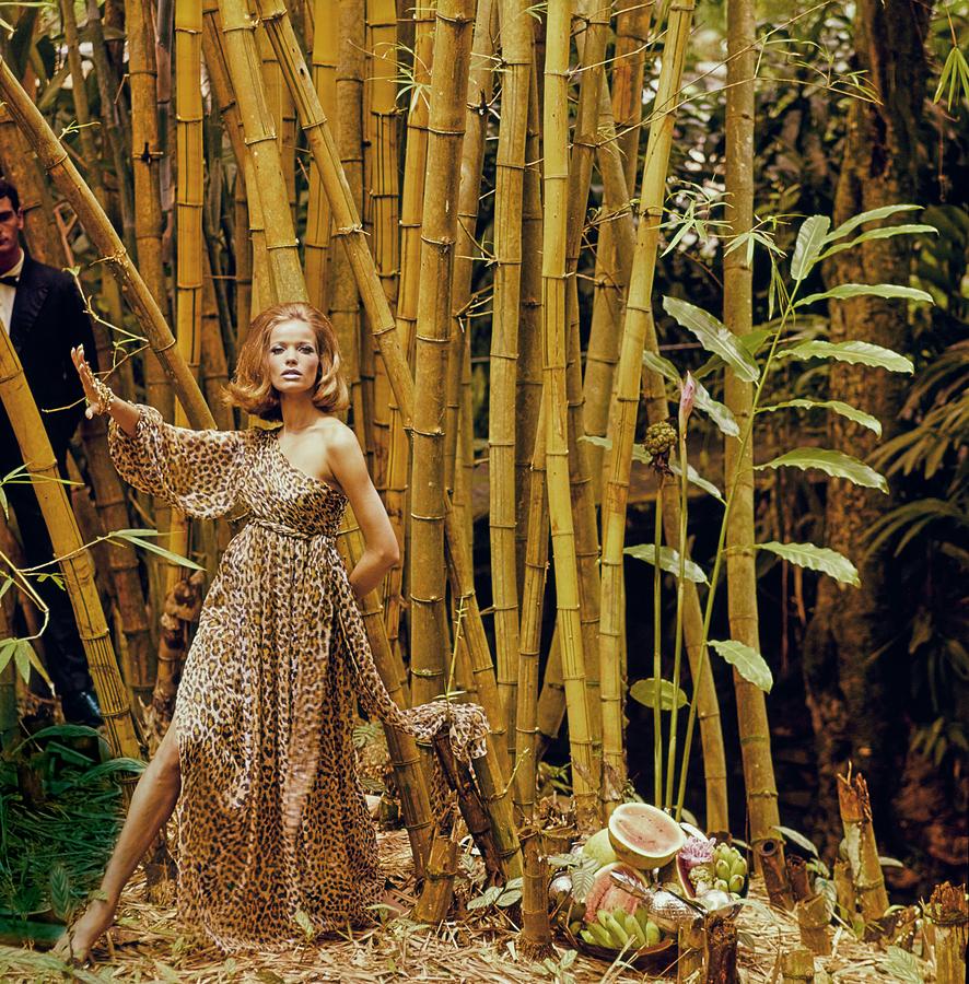 Model Wearing A Galanos Dress In Front Of Bamboo Photograph by Henry Clarke