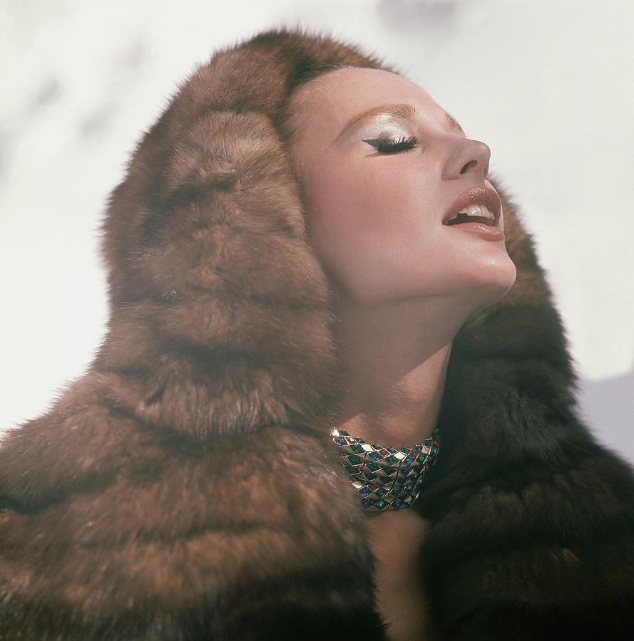Model Wearing A Hood Of Russian Crown Sable Photograph by Henry Clarke Model Wearing A Hood Of Russian Crown Sable Photograph by Henry Clarke