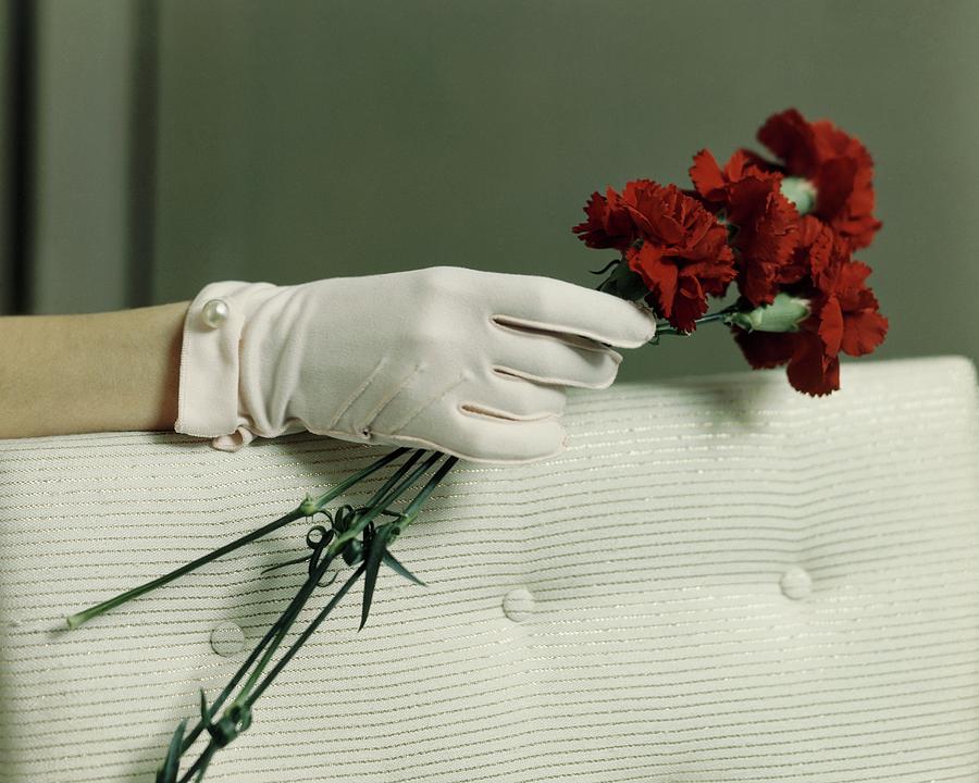 Models Gloved Hand Holding Flowers Photograph by Frances McLaughlin-Gill