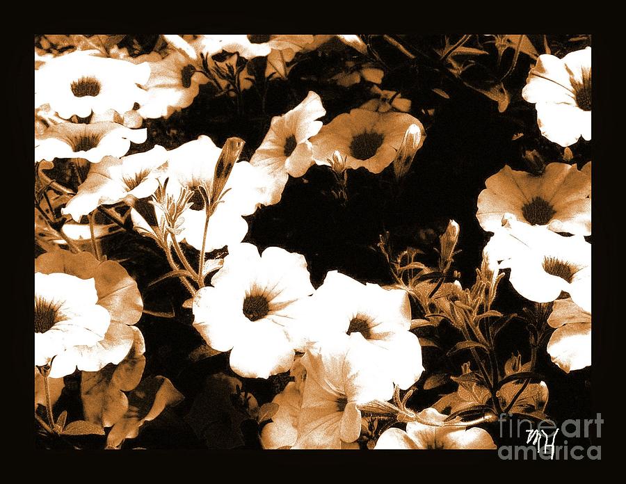 Modern Black and Tan Petunias Photograph by Marsha Heiken