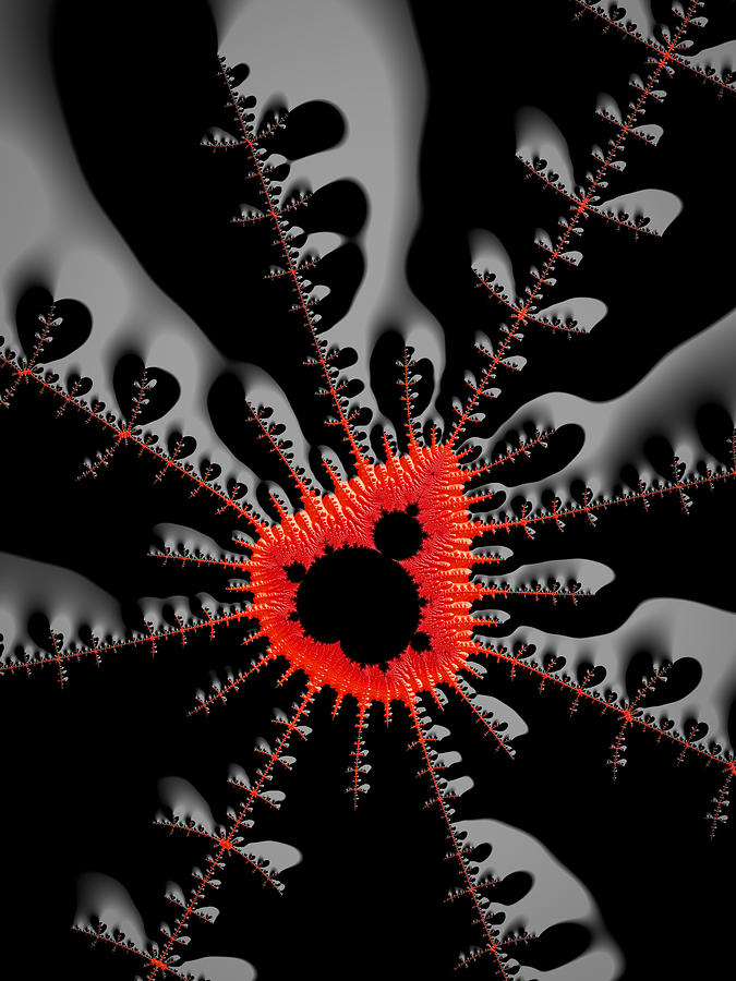 Modern fractal art black and red Digital Art by Matthias Hauser