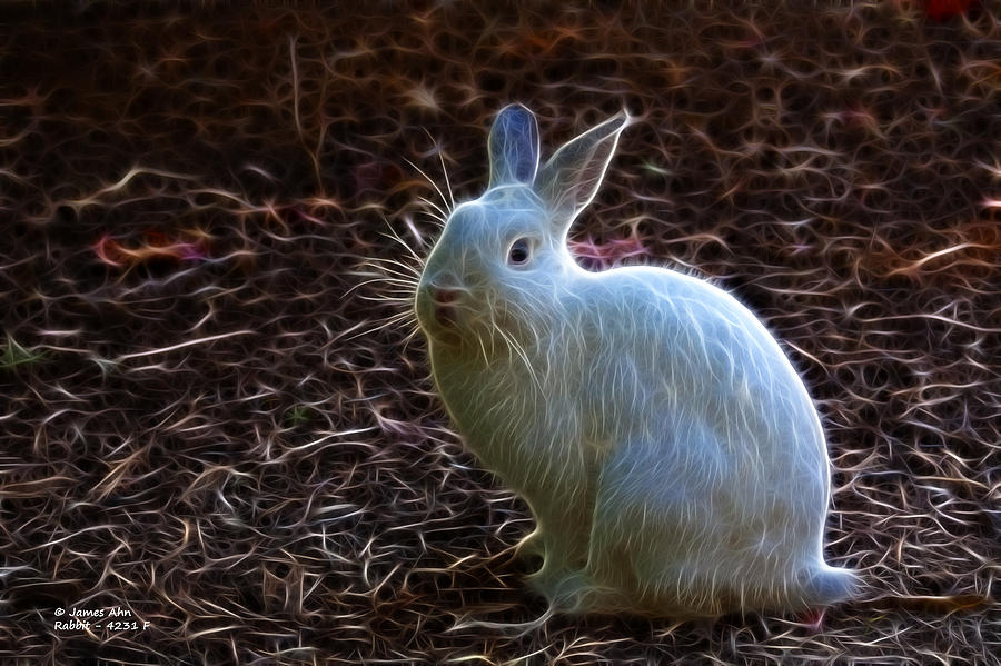 Modern Fractal Rabbit Art by James Ahn 4231 Photograph by James Ahn