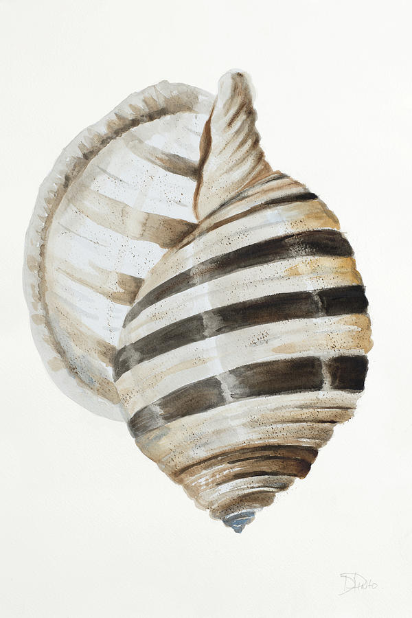 Modern Shell I Painting by Patricia Pinto