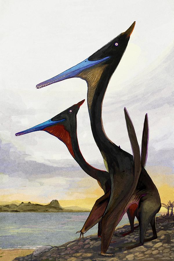 large pterosaurs