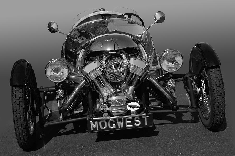 MogWest bw Photograph by Bill Dutting