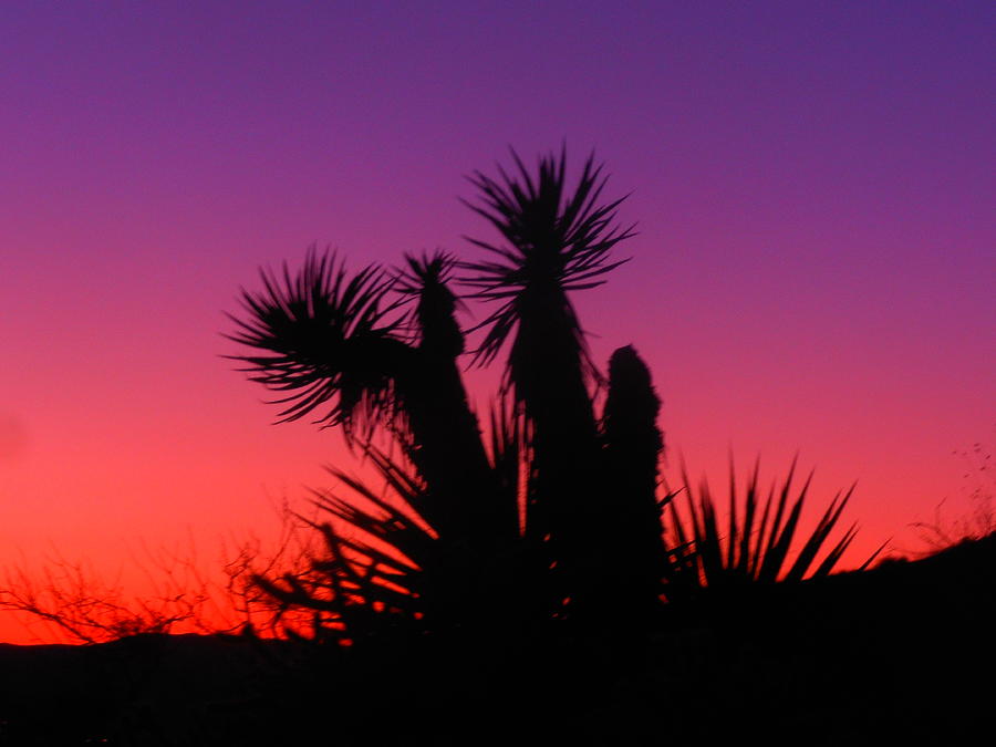 Mohave Color Photograph by James Welch - Fine Art America