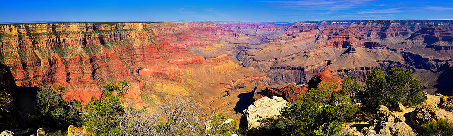 Mohave Pt. Grand Canyon Photograph by Greg Norrell
