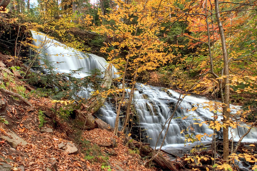 Mohawk Falls Among The Autumn Leaves Photograph by Gene Walls