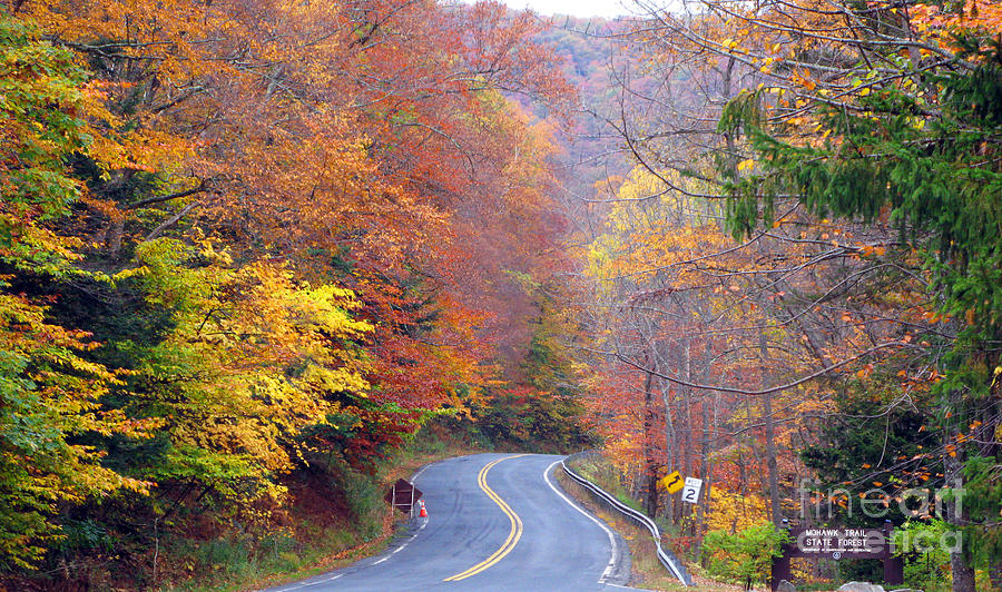 Mohawk Trail Fall Color 0264 Photograph by Jack Schultz