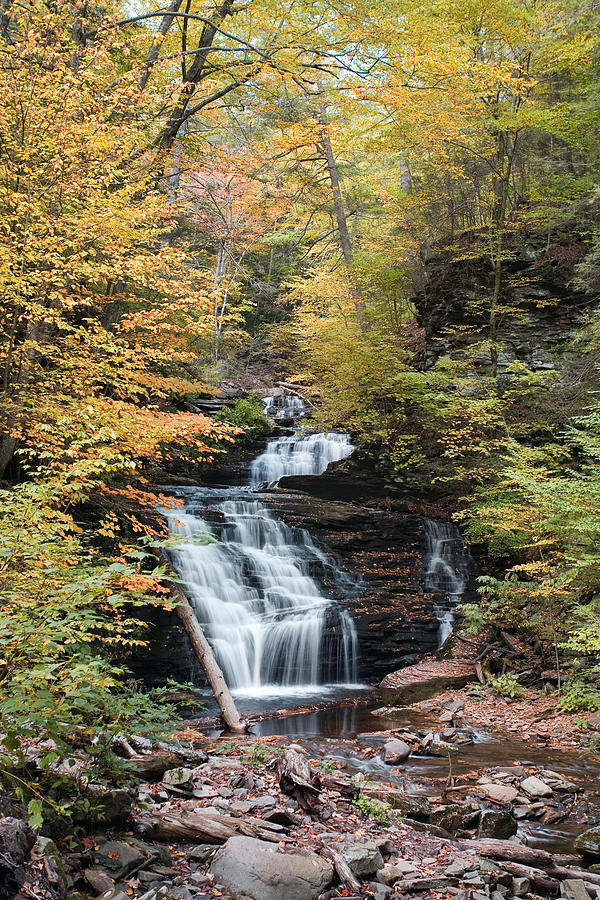 Mohican Falls Framed By Autumn Splendor Photograph by Gene Walls