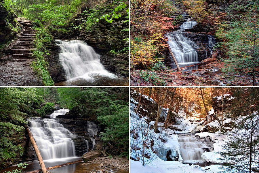 Mohican Falls In Every Season Photograph by Gene Walls