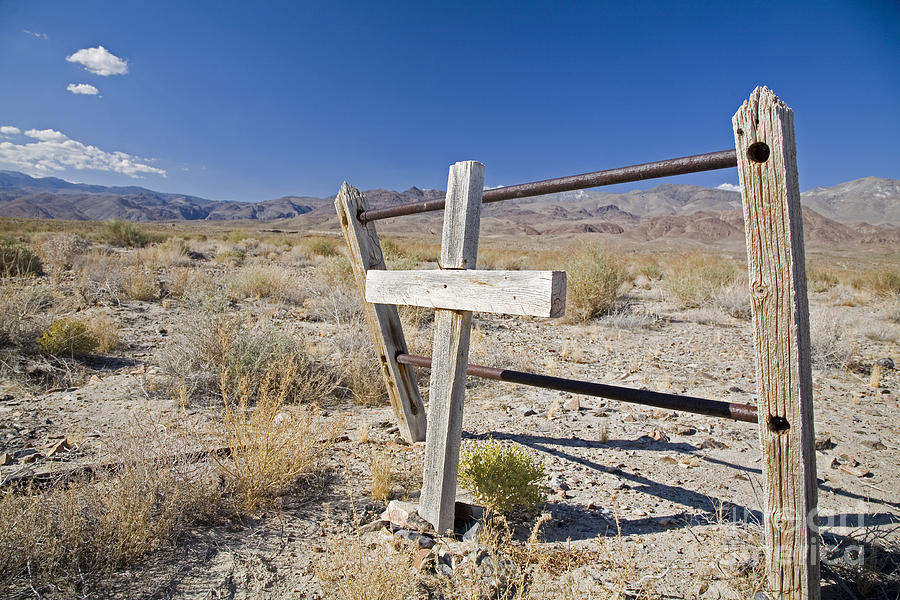 Mojave Desert Grave Photograph by Jim West