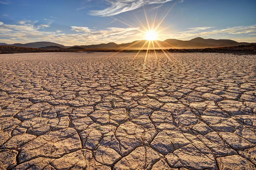 Mojave Desert Sunrise Photograph by Sierralara