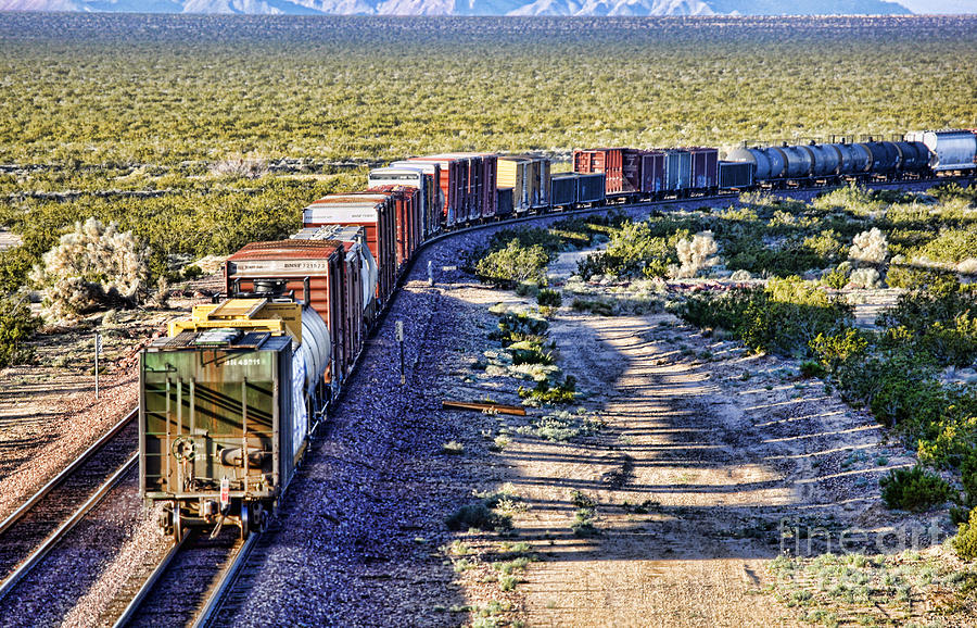Mojave Desert Train by Diana Sainz Photograph by Diana Raquel Sainz