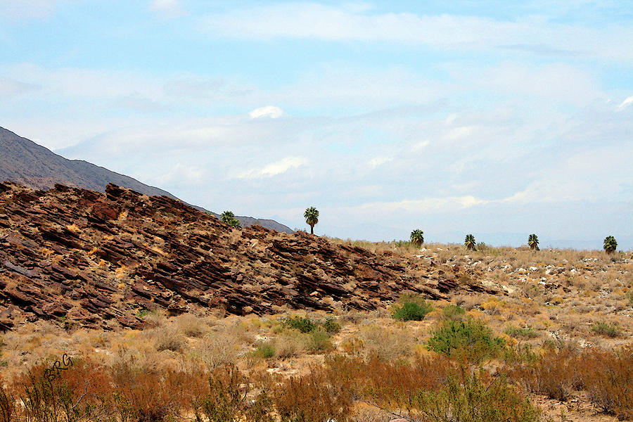 Mojave Desert Landscape Photograph by Ben and Raisa Gertsberg