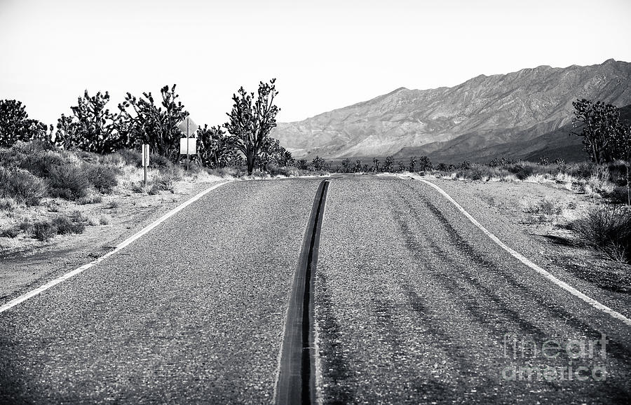 Mojave Driving Photograph by John Rizzuto