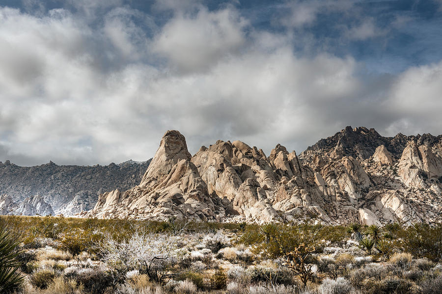 Mojave National Perserve in Southwestern California Photograph by Carol M Highsmith