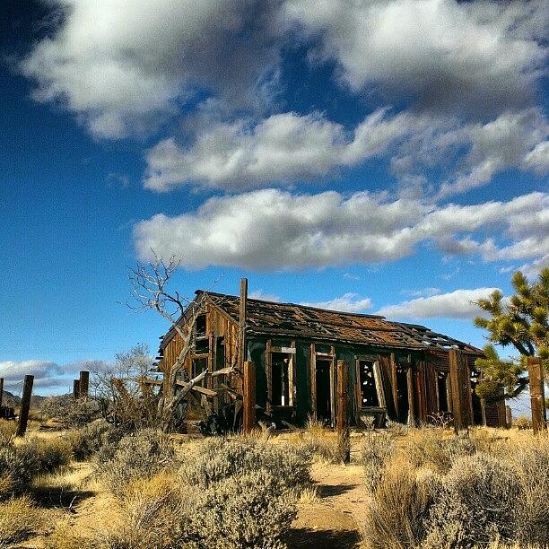 Istabilizer Photograph - Mojave National Preserve #instagram by Dan Piraino
