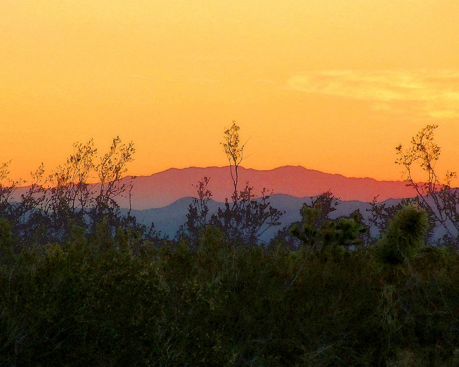 Mojave Sunrise Photograph by Timothy Bulone