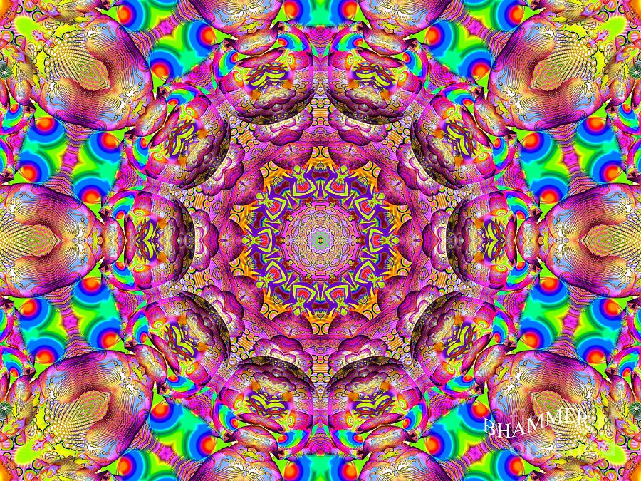 Colorful Digital Art - Mojo  by Bobby Hammerstone
