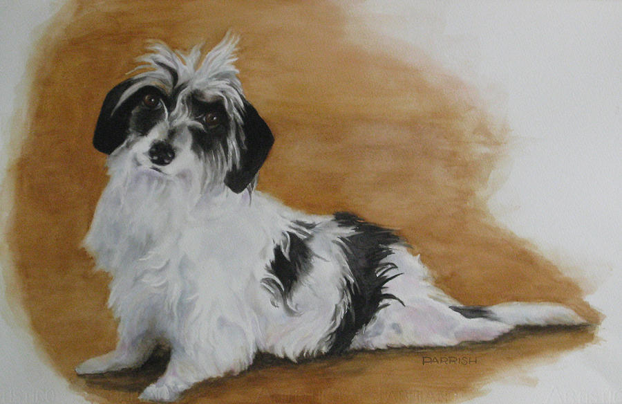 Dog Painting - Mojo by Parrish Hirasaki Dog Painting - Mojo by Parrish Hirasaki