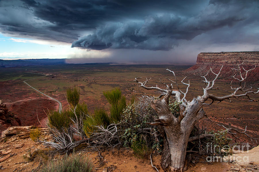 Moki Dugway Thunderstorm - Southern Utah Photograph by Gary Whitton
