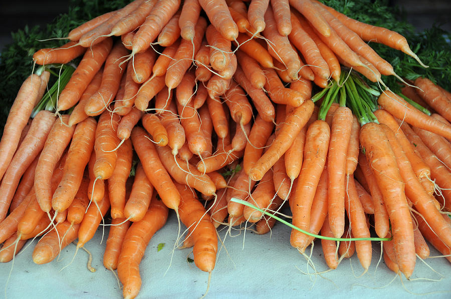 Mokum Carrots Photograph by Bonnie Sue Rauch