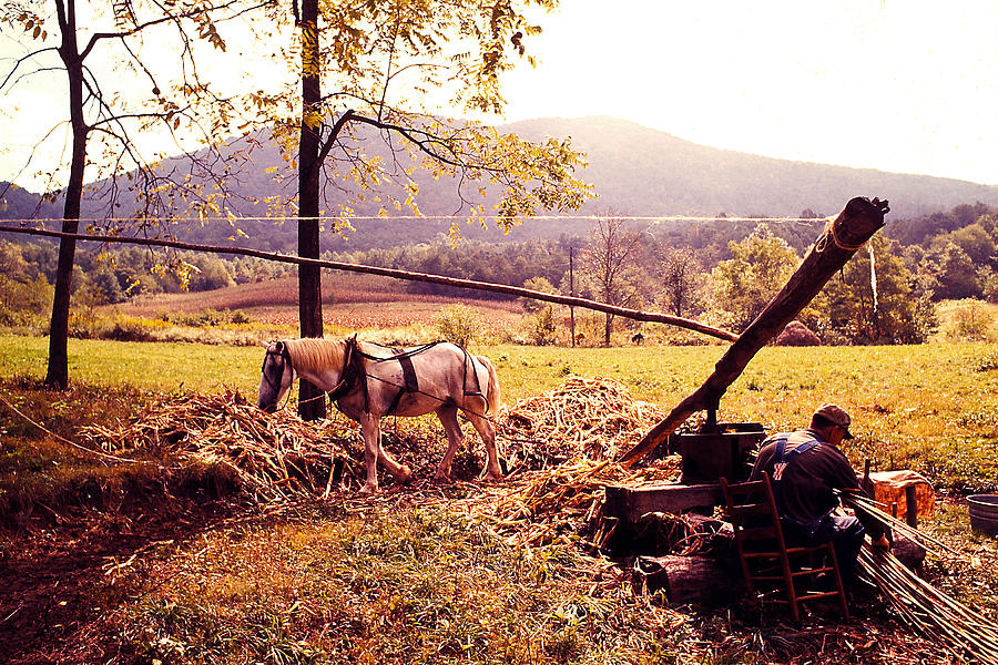 Fall Photograph - Molasses Making in the Blue Ridge Mountains by Bruce Roberts