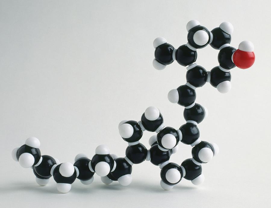 Molecular Structure Of Vitamin D