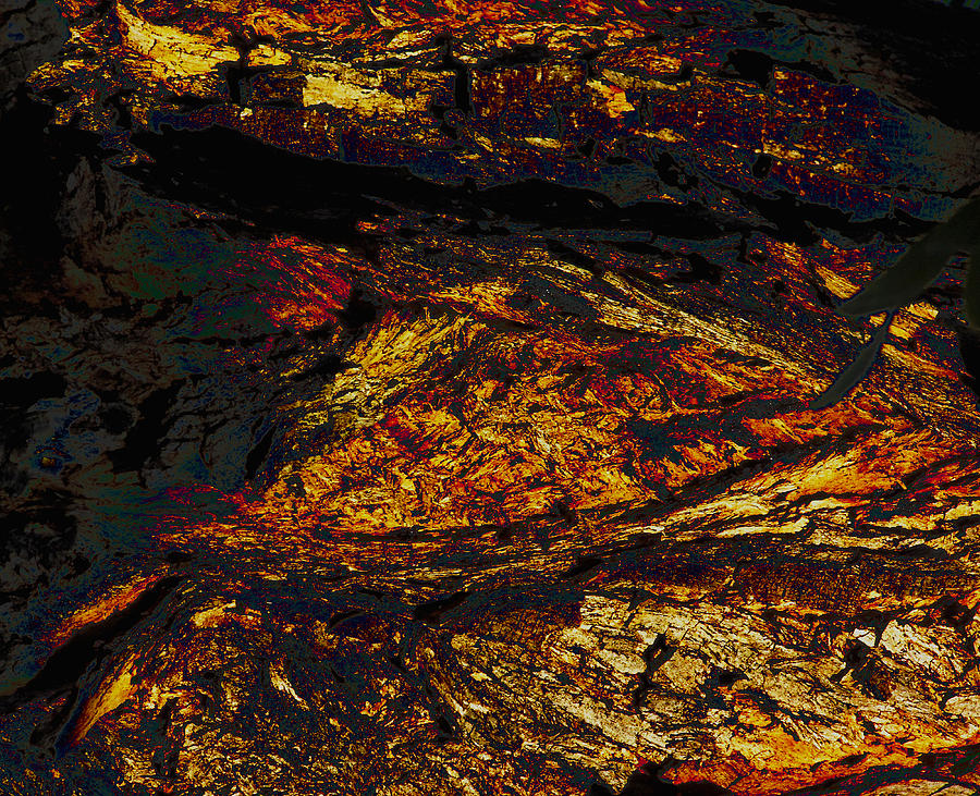 Abstract Digital Art - Molten Bark Lava by Stephanie Grant