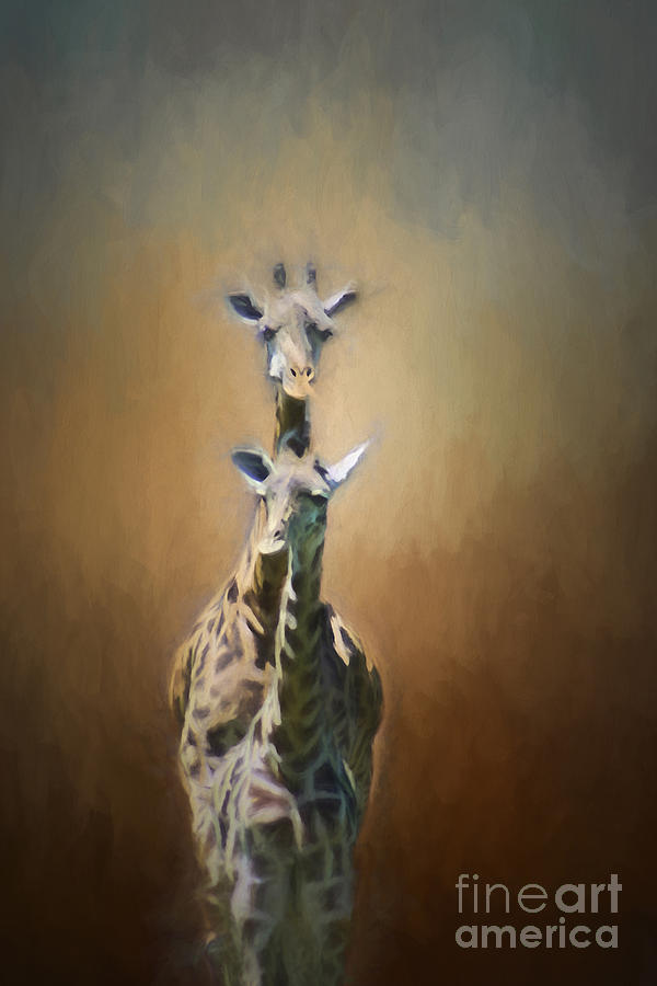 Wildlife Photograph - Mom and baby Giraffe by Darren Fisher