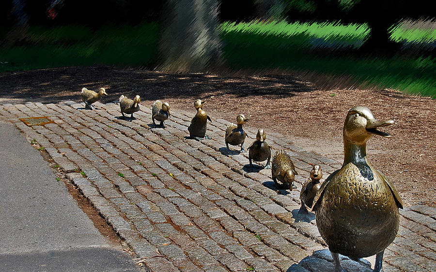Mom and Ducklings Walking Photograph by Caroline Stella