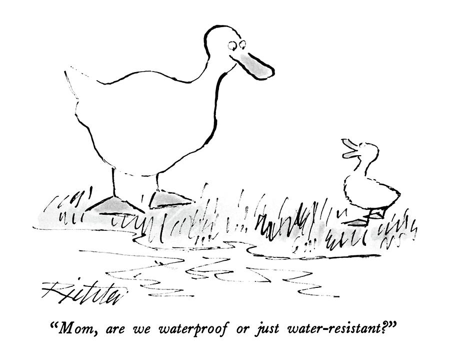 Mom, Are We Waterproof Or Just Water-resistant? Drawing by Mischa Richter