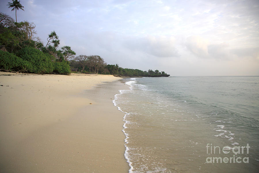 Nature Photograph - Mombassa beach by Deborah Benbrook
