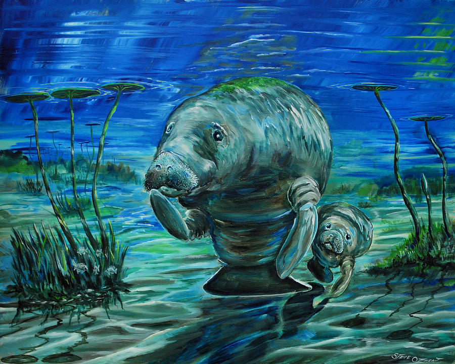 Momma manatee Painting by Steve Ozment