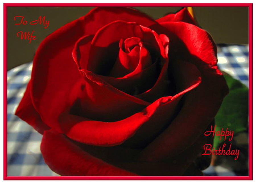 Moms Red Rose Happy Birthday Wife Photograph by Joyce Dickens
